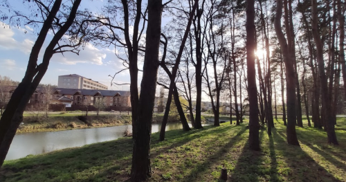 Риболовля на базі відпочинку «Темп» у Черкаській області