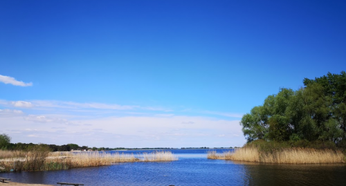 Риболовля на базі відпочинку «Темп» у Черкаській області