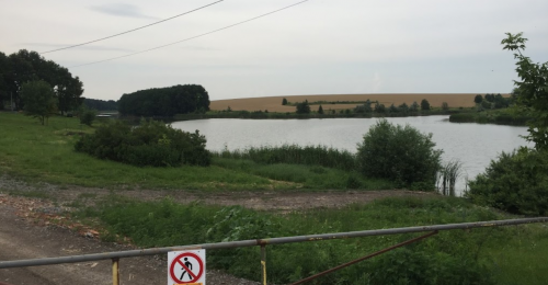 Риболовля на Спортивній Водойма «Карпич»7