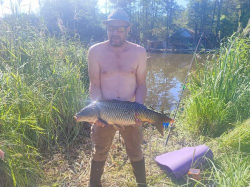 Риболовля та відпочинок на озері: Шибеники у Київській області