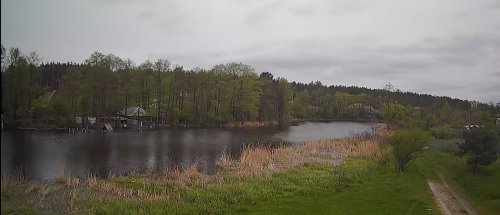 Риболовля та відпочинок на озері: Шибеники у Київській області