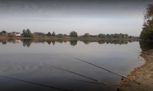 805c983adb83400380e1317929084d16