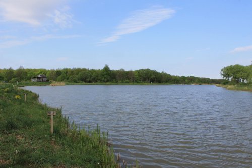 Риболовля та відпочинок на ставку «Ожидів»