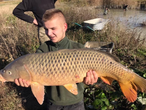 Риболовля та відпочинок на ставку «Ожидів»