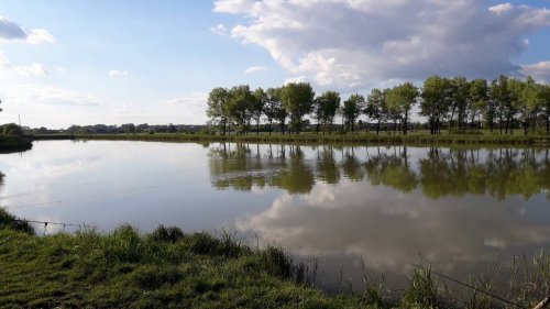 Риболовля та відпочинок на ставку «Ожидів»