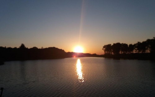 Риболовля та відпочинок на ставку «Ожидів»