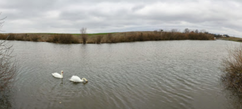 Риболовля та відпочинок на ставку в селі Андрусівка у Рівненській області