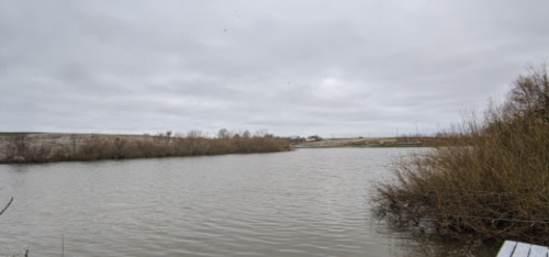 Риболовля та відпочинок на ставку в селі Андрусівка у Рівненській області