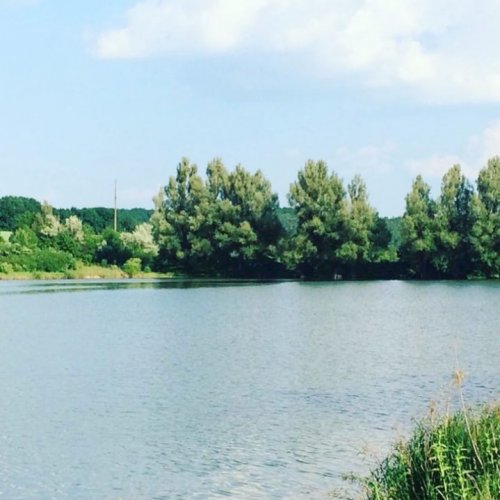 42f67945ee674595ac578665a825b659