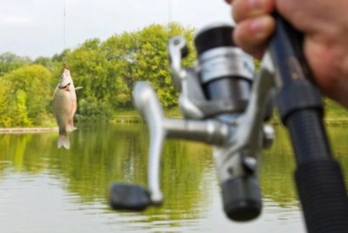 433179184d054baebf225eccee3f65b6