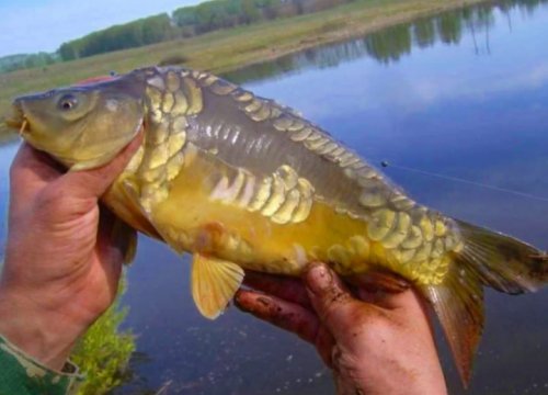 03437074887d4301b9681eb148eea70f