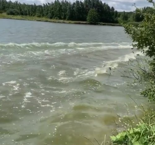 bc9d469c31e6421d86bc07e2ee769a3b