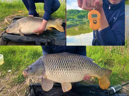 Рыболовная База Ивашки в Полтавской области