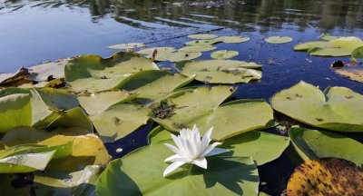 Рыболовная база «Ловись Рыбка»