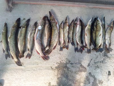 Рыболовная база «Ловись Рыбка»