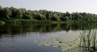 Рыболовная база «Ловись Рыбка»