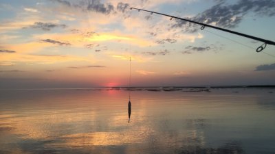 Рыболовная база на Днепре «Savage - eco club