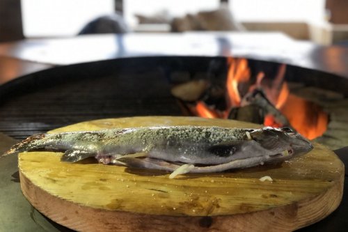 Рыболовная база отдыха «Forelka Club» - Киевская область