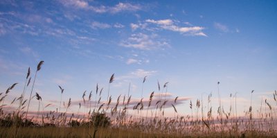 Рыболовная база «Рыбачий хутор»