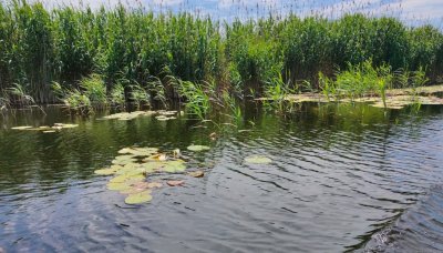 Рыболовная база «Сова»