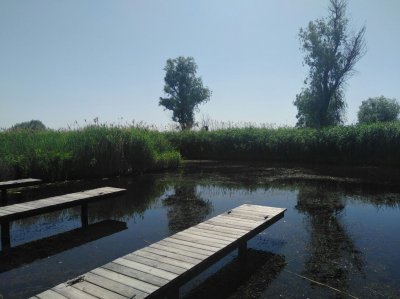 Рыболовная база «Сова»