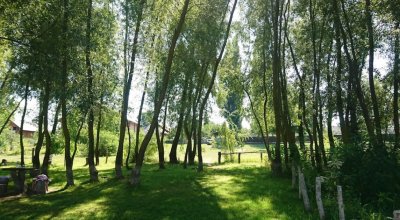 Усадьба  «Днестровский Маеток»