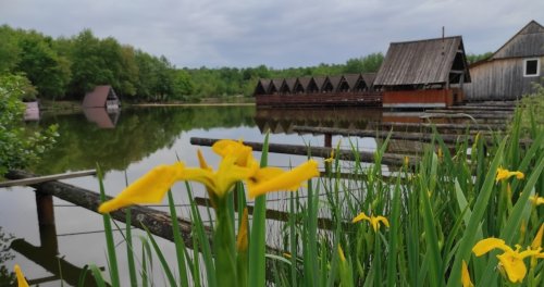 Оздоровчий комплекс: Кленовецькі озера, риболовля та відпочинок на Закарпатській області