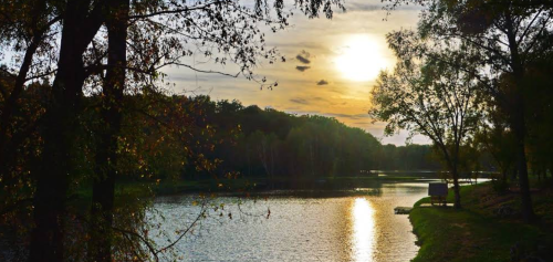 Озеро «Fish Forest»