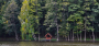 Озеро «Fish Forest»