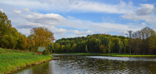 Озеро «Fish Forest»