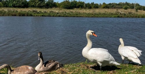 Риболовля на спортивній водоймі «ОСТРІВ»