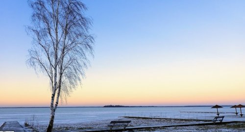 Риболовля та відпочинок на турбазі «Nester-House» 