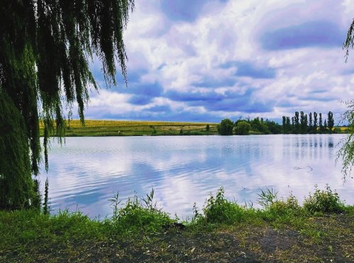 Риболовля на спортивній водоймі «Winfish» у  селі Киданці, Тернопільска обл