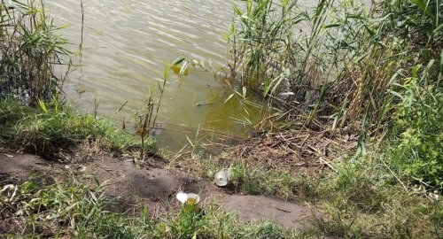 База отдыха и рыбалки «Байкал» в Черкасской области