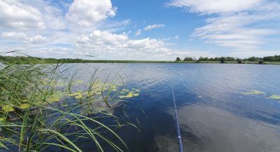 База отдыха и рыбалки «Тихая Гавань»