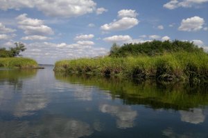 База отдыха клевая рыбалка в Черкасской области-2