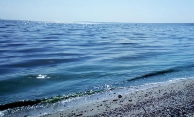 Рыбалка на Днепровско-Бугском лимане