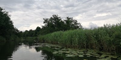 Днепровское военное охотничье хозяйство