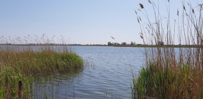 Днепровское военное охотничье хозяйство