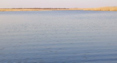 Днепровское военное охотничье хозяйство