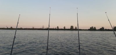 Днепровское военное охотничье хозяйство