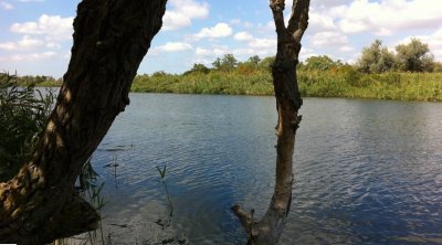 Днепровское военное охотничье хозяйство