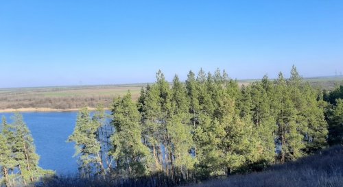 Рибалка на Федорівському ставку 