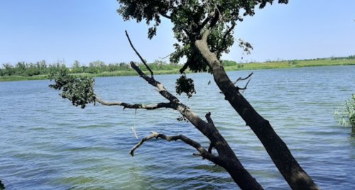 Рибалка на Федорівському ставку 