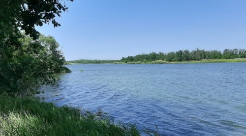 Рибалка на Федорівському ставку 