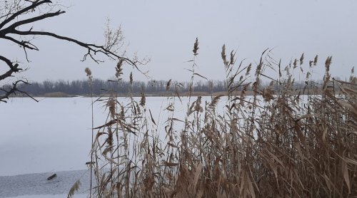 Рибалка на Федорівському ставку 
