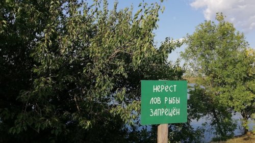 Рибалка на Федорівському ставку 