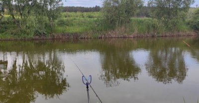 Рибне господарство: Надія в Одеській області