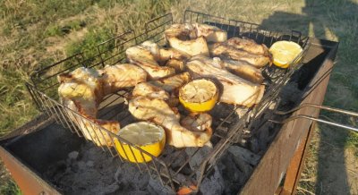 Рибне господарство: Надія в Одеській області