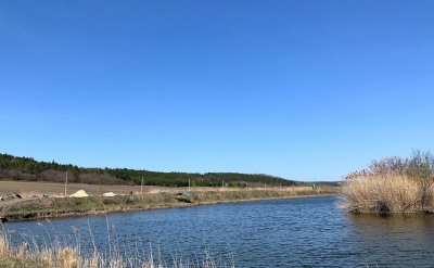 Рибне господарство: Надія в Одеській області